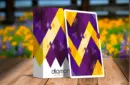 Diamon Playing Cards N° 14 Purple Star Playing Cards by Dutch Card House Company – Image 1