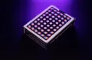 Mizutama Spectrum Edition Playing Cards – Image 4
