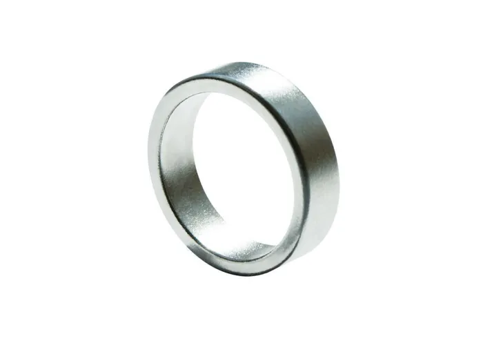 Magnetic Ring - Flat - Silver - 19 mm / Magnetischer Ring