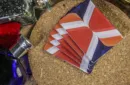 Paper Kings Playing Cards Jelly Cardistry Trainers – Image 10
