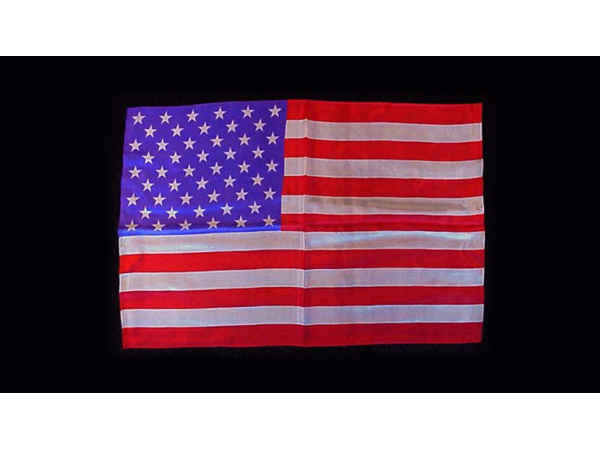 Rice Silk 12" x 18" (American Flag) by Silk King Studios - Trick