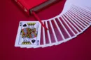 The Boy Who Cried Magic Playing Cards by Andi Gladwin – Image 6