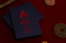 BRAND OF FIRE / RED (Gimmicks and Online Instructions) by Federico Poeymiro – Bild 3