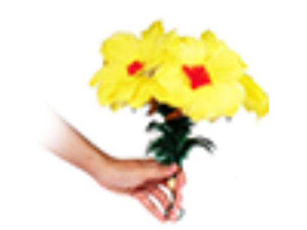 Flower Salute by 7 MAGIC - Trick