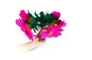 Flower Salute by 7 MAGIC - Trick – Image 1