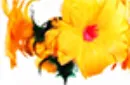 Flower Salute by 7 MAGIC - Trick – Image 3