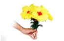 Flower Salute by 7 MAGIC - Trick – Image 10