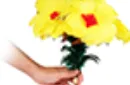 Flower Salute by 7 MAGIC - Trick – Image 11