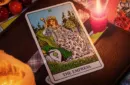 The Oracle System (Gimmicks and Online Instructions) by Ben Seidman – Image 2