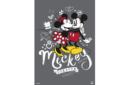 Httpswww magicshop chmediacatalogproductsisimple paperrestore mickymini 1 png