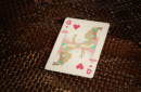 Httpswww magicshop chmediacatalogproductsisimple cardstucan 8 png