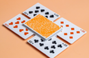 Httpswww magicshop chmediacatalogproductsisimple cardssurf v2 8 png