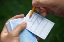 Sakura V3 Playing Cards – Image 2