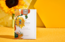 Httpswww magicshop chmediacatalogproductsisimple cardsvangogh sun 1 png