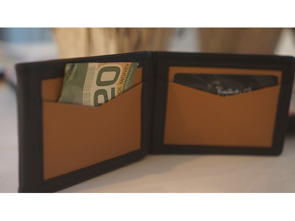 Chameleon Skin Wallet by Jim Steinmeyer