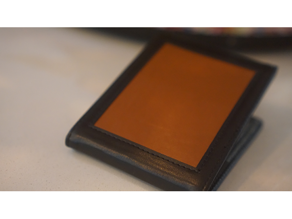 Chameleon Skin Wallet by Jim Steinmeyer