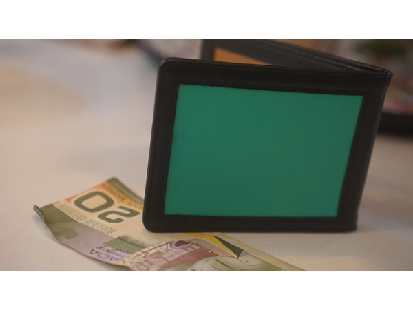Chameleon Skin Wallet by Jim Steinmeyer