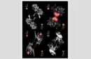 Stardust Black Edition Playing Cards – Bild 5