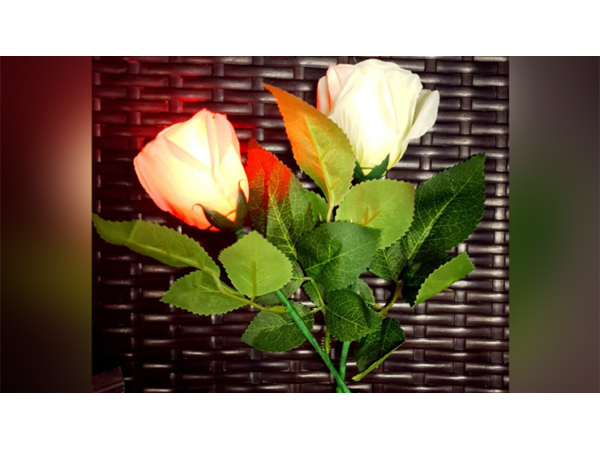 Rose Light set RED by JL Magic