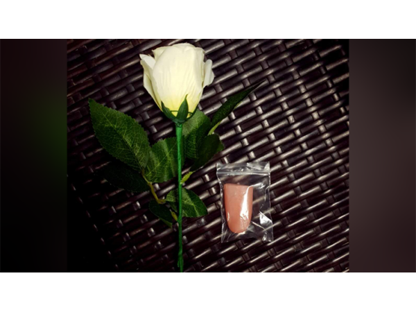 Rose Light set RED by JL Magic