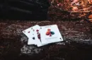 PEAK 15 Playing Cards – Image 2