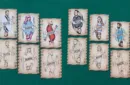 Fresh Cuts Playing Cards – Image 3