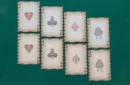 Fresh Cuts Playing Cards – Image 4