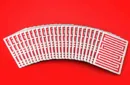 Red Enigma Playing Cards – Image 5