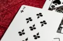 Stone Garden Playing Cards – Bild 5