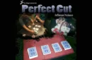 Perfect Cut Gimmick Deck by Jeff Nolasco and JL Magic – Bild 1
