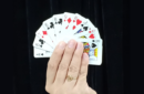 Httpswww magicshop chmediacatalogproductsisimple reversecard 4 png