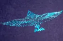 Feather Deck: Goldfinch Edition (Teal) by Joshua Jay – Bild 6