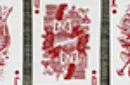 Centurio Playing Cards – Bild 7