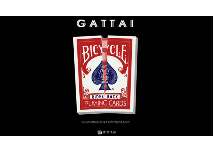 Gattai by Morning & Himitsu Magic
