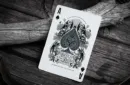 Devil's in the Details Sinful Silver Playing Cards by Riffle Shuffle – Image 5