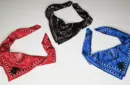 Devil's Bandana (Black) by Lee Alex – Image 3