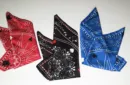Devil's Bandana (Black) by Lee Alex – Image 4