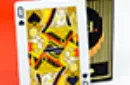 Bold (Deluxe Edition) Playing Cards by Elettra Deganello – Image 5