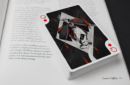 Httpswww magicshop chmediacatalogproductsisimple cardsfuture chap2 8 png