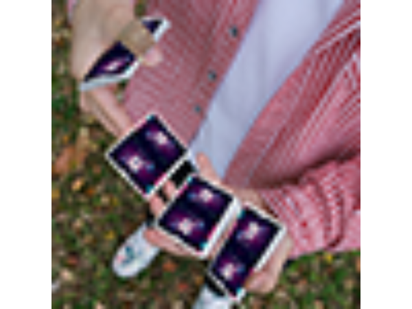 Bug Playing Cards by Bocopo