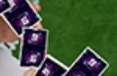 Bug Playing Cards by Bocopo – Bild 3