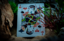 Httpswww magicshop chmediacatalogproductsisimple cardsonda aqua 10 png