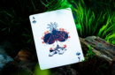Httpswww magicshop chmediacatalogproductsisimple cardsonda ultra 2 png