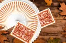 Leaves Autumn Edition Collector's Box Set Playing Cards by Dutch Card House Company – Bild 5
