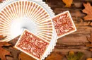 Leaves Autumn Playing Cards by Dutch Card House Company – Image 3