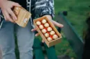 BonBon Box by George Iglesias and Twister Magic (Gold Box) – Bild 3