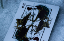 Httpswww magicshop chmediacatalogproductsisimple cardsgrem wint 4 png