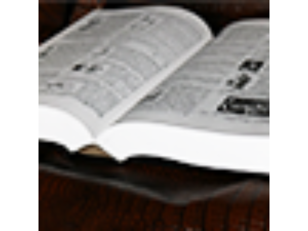 Stanyon's Magic Deluxe (Numbered) by L&L Publishing - Book