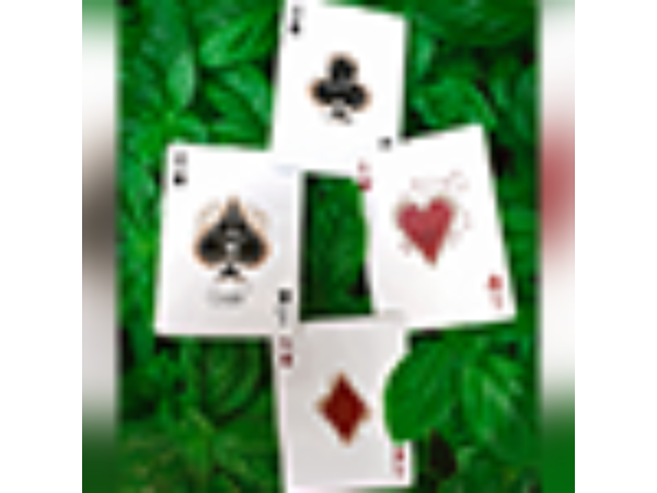 Oxalis Playing cards