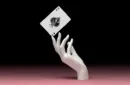 Lepidopterist Playing Cards by Art of Play – Image 2